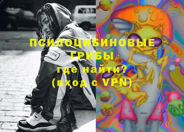 стафф Тобольск