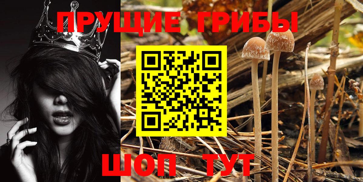 Псилоцибиновые грибы ЛСД Ставрополь